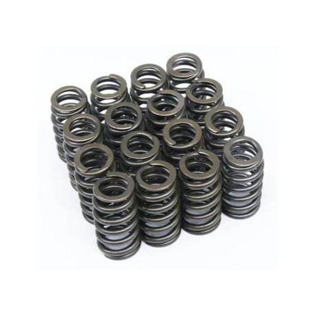 competition single 160lbs valve springs c.saxo