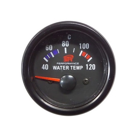 Reloj temperatura de agua - negro