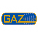 Gaz Shocks